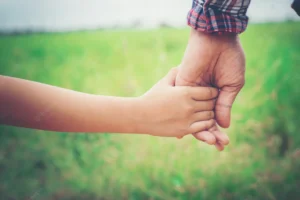 Guardianship (Professional and non-professional)